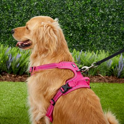 Show full view: Chai's Choice Premium Outdoor Adventure 3M Polyester Reflective Front Clip Dog Harness, Fuchsia, X-Large: 32 to 42-in chest slide 6 of 13