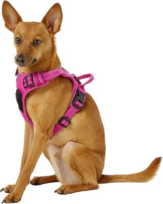 Show full view: Chai's Choice Premium Outdoor Adventure 3M Polyester Reflective Front Clip Dog Harness, Fuchsia, X-Small: 13 to 17-in chest slide 3 of 12