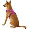 Show in main carousel: Chai's Choice Premium Outdoor Adventure 3M Polyester Reflective Front Clip Dog Harness, Fuchsia, X-Small: 13 to 17-in chest slide 4 of 12