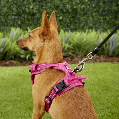 Show full view: Chai's Choice Premium Outdoor Adventure 3M Polyester Reflective Front Clip Dog Harness, Fuchsia, X-Small: 13 to 17-in chest slide 5 of 12