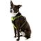 Show in main carousel: Chai's Choice Premium Outdoor Adventure 3M Polyester Reflective Front Clip Dog Harness, Green, Large: 27 to 32-in chest slide 3 of 12