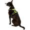 Show in main carousel: Chai's Choice Premium Outdoor Adventure 3M Polyester Reflective Front Clip Dog Harness, Green, Large: 27 to 32-in chest slide 4 of 12