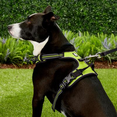 Show full view: Chai's Choice Premium Outdoor Adventure 3M Polyester Reflective Front Clip Dog Harness, Green, Large: 27 to 32-in chest slide 5 of 12