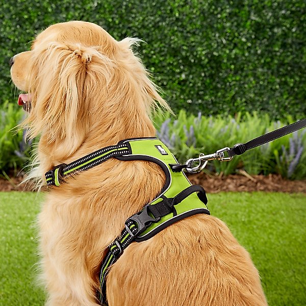 Chai's Choice Premium Outdoor Adventure 3M Polyester Reflective Front Clip Dog Harness