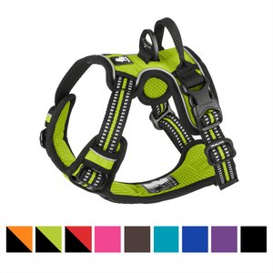 Chai's Choice Premium Outdoor Adventure 3M Polyester Reflective Front Clip Dog Harness, Green, X-Small: 13 to 17-in chest