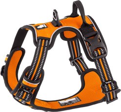 Chai's Choice Premium Outdoor Adventure 3M Polyester Reflective Front Clip Dog Harness, Orange, Medium: 22 to 27-in chest