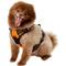 Show in main carousel: Chai's Choice Premium Outdoor Adventure 3M Polyester Reflective Front Clip Dog Harness, Orange, Medium: 22 to 27-in chest slide 3 of 12