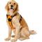 Show in main carousel: Chai's Choice Premium Outdoor Adventure 3M Polyester Reflective Front Clip Dog Harness, Orange, X-Large: 32 to 42-in chest slide 3 of 12