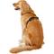 Show in main carousel: Chai's Choice Premium Outdoor Adventure 3M Polyester Reflective Front Clip Dog Harness, Orange, X-Large: 32 to 42-in chest slide 4 of 12