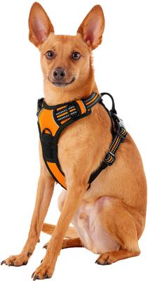 Show full view: Chai's Choice Premium Outdoor Adventure 3M Polyester Reflective Front Clip Dog Harness, Orange, X-Small: 13 to 17-in chest slide 3 of 12