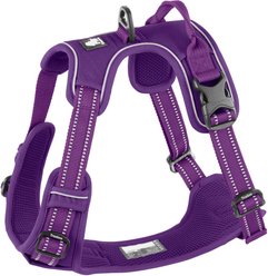 Chai's Choice Premium Outdoor Adventure 3M Polyester Reflective Front Clip Dog Harness, Purple, Large: 27 to 32-in chest