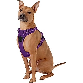 Chai's Choice Premium Outdoor Adventure 3M Polyester Reflective Front Clip Dog Harness, Purple, Large: 27 to 32-in chest slide 3 of 7