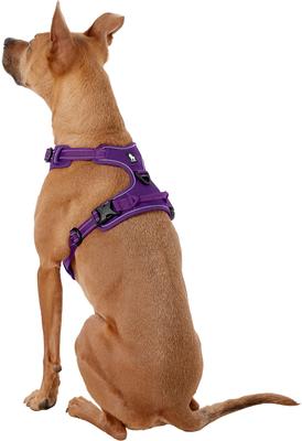 Show full view: Chai's Choice Premium Outdoor Adventure 3M Polyester Reflective Front Clip Dog Harness, Purple, Large: 27 to 32-in chest slide 5 of 13