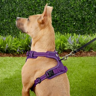 Chai's Choice Premium Outdoor Adventure 3M Polyester Reflective Front Clip Dog Harness, Purple, Large: 27 to 32-in chest slide 5 of 7