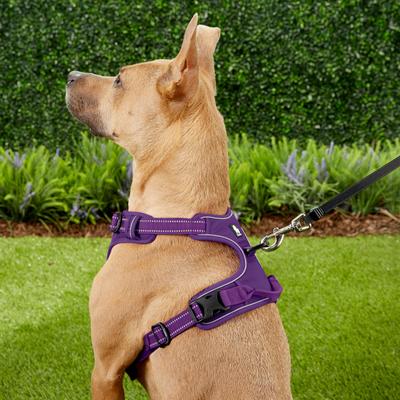 Show full view: Chai's Choice Premium Outdoor Adventure 3M Polyester Reflective Front Clip Dog Harness, Purple, Large: 27 to 32-in chest slide 6 of 13