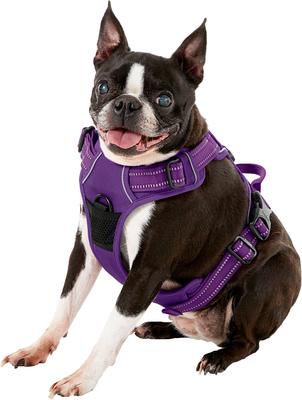 Show full view: Chai's Choice Premium Outdoor Adventure 3M Polyester Reflective Front Clip Dog Harness, Purple, Medium: 22 to 27-in chest slide 3 of 12