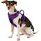 Show in main carousel: Chai's Choice Premium Outdoor Adventure 3M Polyester Reflective Front Clip Dog Harness, Purple, Small: 17 to 22-in chest slide 3 of 12