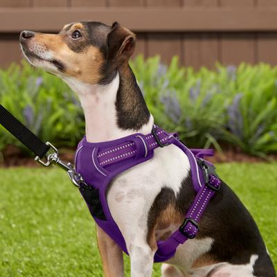 Show full view: Chai's Choice Premium Outdoor Adventure 3M Polyester Reflective Front Clip Dog Harness, Purple, Small: 17 to 22-in chest slide 5 of 12