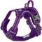 Show in main carousel: Chai's Choice Premium Outdoor Adventure 3M Polyester Reflective Front Clip Dog Harness, Purple, X-Small: 13 to 17-in chest slide 1 of 12