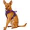Show in main carousel: Chai's Choice Premium Outdoor Adventure 3M Polyester Reflective Front Clip Dog Harness, Purple, X-Small: 13 to 17-in chest slide 3 of 12