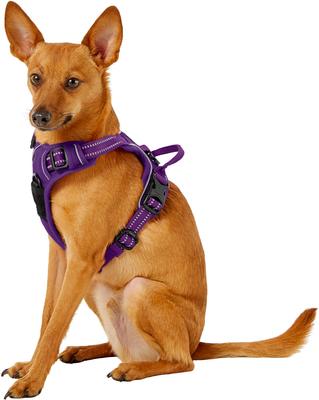 Show full view: Chai's Choice Premium Outdoor Adventure 3M Polyester Reflective Front Clip Dog Harness, Purple, X-Small: 13 to 17-in chest slide 3 of 12