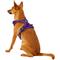 Show in main carousel: Chai's Choice Premium Outdoor Adventure 3M Polyester Reflective Front Clip Dog Harness, Purple, X-Small: 13 to 17-in chest slide 4 of 12