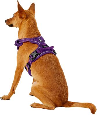 Show full view: Chai's Choice Premium Outdoor Adventure 3M Polyester Reflective Front Clip Dog Harness, Purple, X-Small: 13 to 17-in chest slide 4 of 12