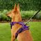 Show in main carousel: Chai's Choice Premium Outdoor Adventure 3M Polyester Reflective Front Clip Dog Harness, Purple, X-Small: 13 to 17-in chest slide 5 of 12