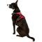 Show in main carousel: Chai's Choice Premium Outdoor Adventure 3M Polyester Reflective Front Clip Dog Harness, Red, Large: 27 to 32-in chest slide 4 of 12