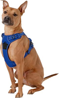Show full view: Chai's Choice Premium Outdoor Adventure 3M Polyester Reflective Front Clip Dog Harness, Royal Blue, Large: 27 to 32-in chest slide 3 of 12