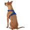 Show in main carousel: Chai's Choice Premium Outdoor Adventure 3M Polyester Reflective Front Clip Dog Harness, Royal Blue, Large: 27 to 32-in chest slide 4 of 12