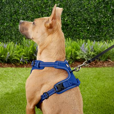 Show full view: Chai's Choice Premium Outdoor Adventure 3M Polyester Reflective Front Clip Dog Harness, Royal Blue, Large: 27 to 32-in chest slide 5 of 12