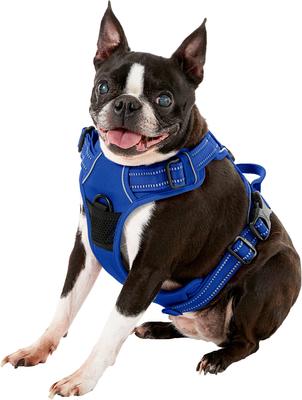 Show full view: Chai's Choice Premium Outdoor Adventure 3M Polyester Reflective Front Clip Dog Harness, Royal Blue, Medium: 22 to 27-in chest slide 3 of 12
