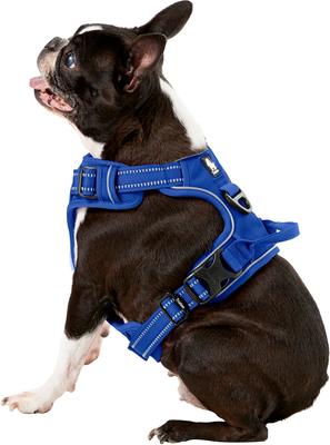 Show full view: Chai's Choice Premium Outdoor Adventure 3M Polyester Reflective Front Clip Dog Harness, Royal Blue, Medium: 22 to 27-in chest slide 4 of 12