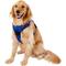Show in main carousel: Chai's Choice Premium Outdoor Adventure 3M Polyester Reflective Front Clip Dog Harness, Royal Blue, X-Large: 32 to 42-in chest slide 3 of 12