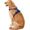 Show in main carousel: Chai's Choice Premium Outdoor Adventure 3M Polyester Reflective Front Clip Dog Harness, Royal Blue, X-Large: 32 to 42-in chest slide 4 of 12