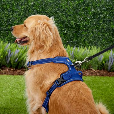 Show full view: Chai's Choice Premium Outdoor Adventure 3M Polyester Reflective Front Clip Dog Harness, Royal Blue, X-Large: 32 to 42-in chest slide 5 of 12