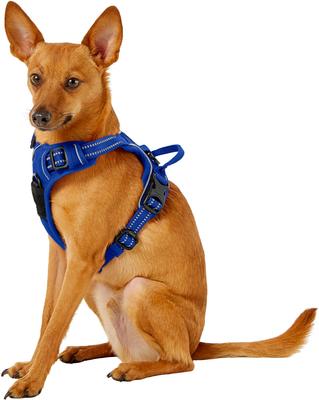 Show full view: Chai's Choice Premium Outdoor Adventure 3M Polyester Reflective Front Clip Dog Harness, Royal Blue, X-Small: 13 to 17-in chest slide 3 of 12