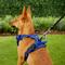 Show in main carousel: Chai's Choice Premium Outdoor Adventure 3M Polyester Reflective Front Clip Dog Harness, Royal Blue, X-Small: 13 to 17-in chest slide 5 of 12