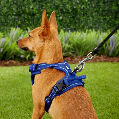 Show full view: Chai's Choice Premium Outdoor Adventure 3M Polyester Reflective Front Clip Dog Harness, Royal Blue, X-Small: 13 to 17-in chest slide 5 of 12
