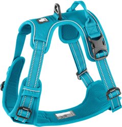 Chai's Choice Premium Outdoor Adventure 3M Polyester Reflective Front Clip Dog Harness, Teal Blue, Large: 27 to 32-in chest