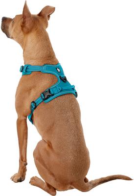 Show full view: Chai's Choice Premium Outdoor Adventure 3M Polyester Reflective Front Clip Dog Harness, Teal Blue, Large: 27 to 32-in chest slide 4 of 12