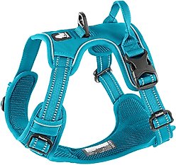 Chai's Choice Premium Outdoor Adventure 3M Polyester Reflective Front Clip Dog Harness, Teal Blue, Medium: 22 to 27-in chest