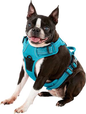 Show full view: Chai's Choice Premium Outdoor Adventure 3M Polyester Reflective Front Clip Dog Harness, Teal Blue, Medium: 22 to 27-in chest slide 4 of 13