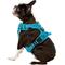 Show in main carousel: Chai's Choice Premium Outdoor Adventure 3M Polyester Reflective Front Clip Dog Harness, Teal Blue, Medium: 22 to 27-in chest slide 5 of 13