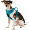 Show in main carousel: Chai's Choice Premium Outdoor Adventure 3M Polyester Reflective Front Clip Dog Harness, Teal Blue, Small: 17 to 22-in chest slide 3 of 10