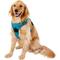 Show in main carousel: Chai's Choice Premium Outdoor Adventure 3M Polyester Reflective Front Clip Dog Harness, Teal Blue, X-Large: 32 to 42-in chest slide 3 of 12