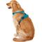 Show in main carousel: Chai's Choice Premium Outdoor Adventure 3M Polyester Reflective Front Clip Dog Harness, Teal Blue, X-Large: 32 to 42-in chest slide 4 of 12