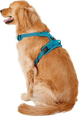 Show full view: Chai's Choice Premium Outdoor Adventure 3M Polyester Reflective Front Clip Dog Harness, Teal Blue, X-Large: 32 to 42-in chest slide 4 of 12