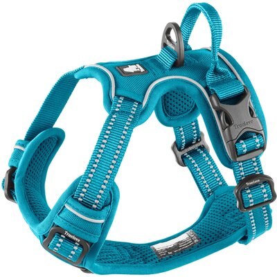 Chai's Choice Chai's Choice Premium Outdoor Adventure 3M Polyester Reflective Front Clip Dog Harness, Teal Blue, X-Small: 13 to 17-in chest